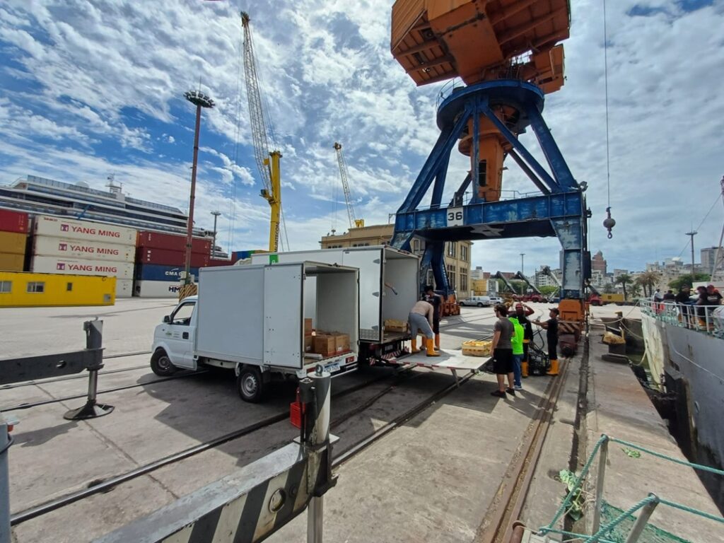 DP Trawl team supporting Falklands-based fleets with cargo handling and port logistics in Montevideo